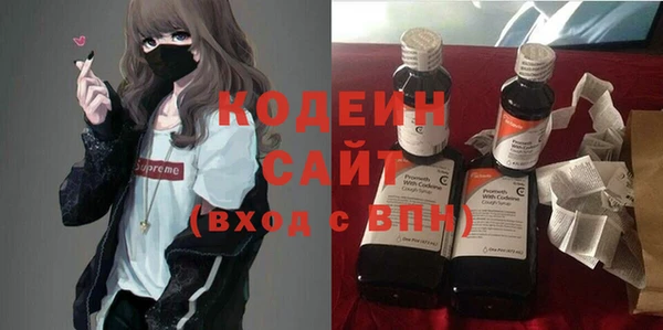 шишки Богородицк