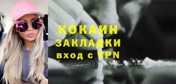 шишки Богородицк