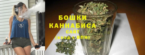 шишки Богородицк