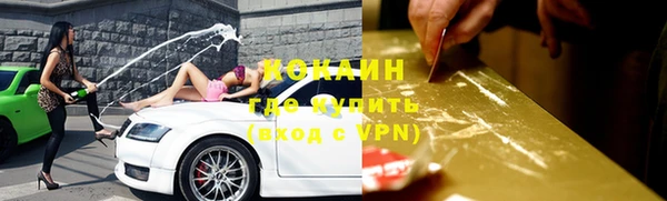 шишки Богородицк