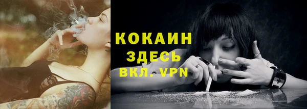 шишки Богородицк