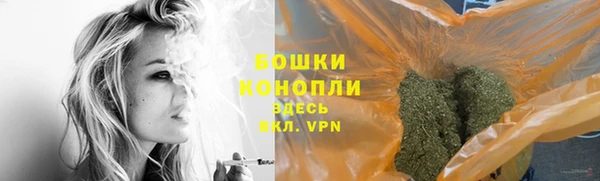 гашик Богородск