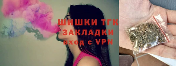 шишки Богородицк