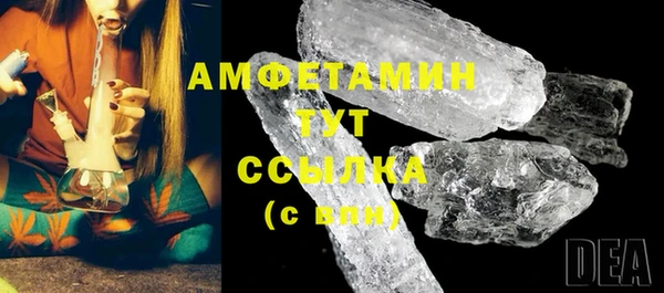 спиды Богданович