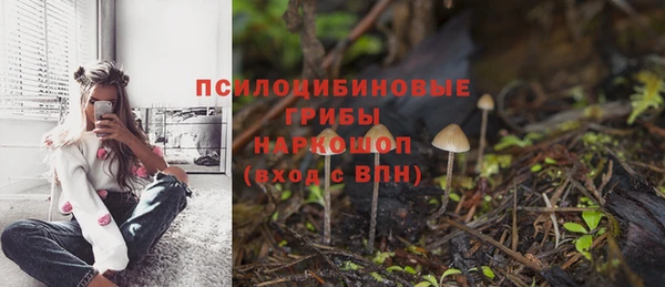 гашик Богородск