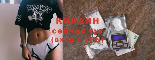 спиды Богданович
