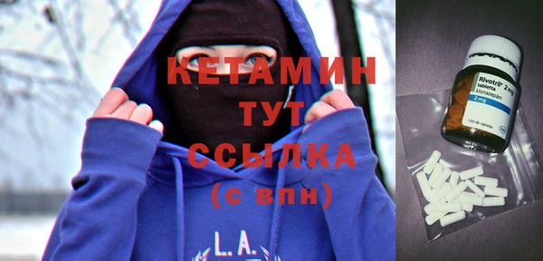 шишки Богородицк