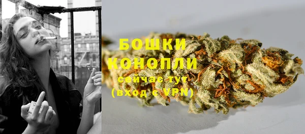спиды Богданович
