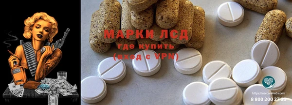 спиды Богданович